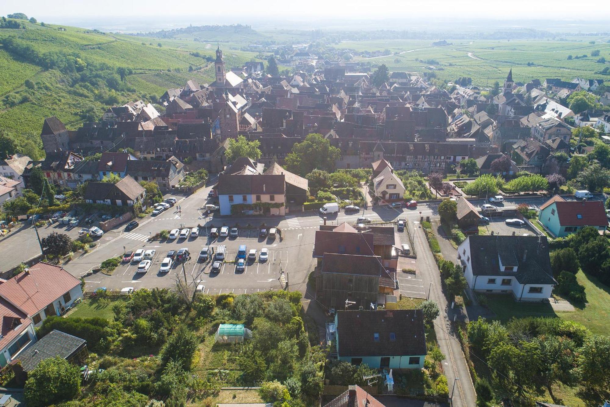 Pinot Gris - Charmant Studio Au Coeur Du Vignoble - Parking Gratuit Riquewihr Exterior foto